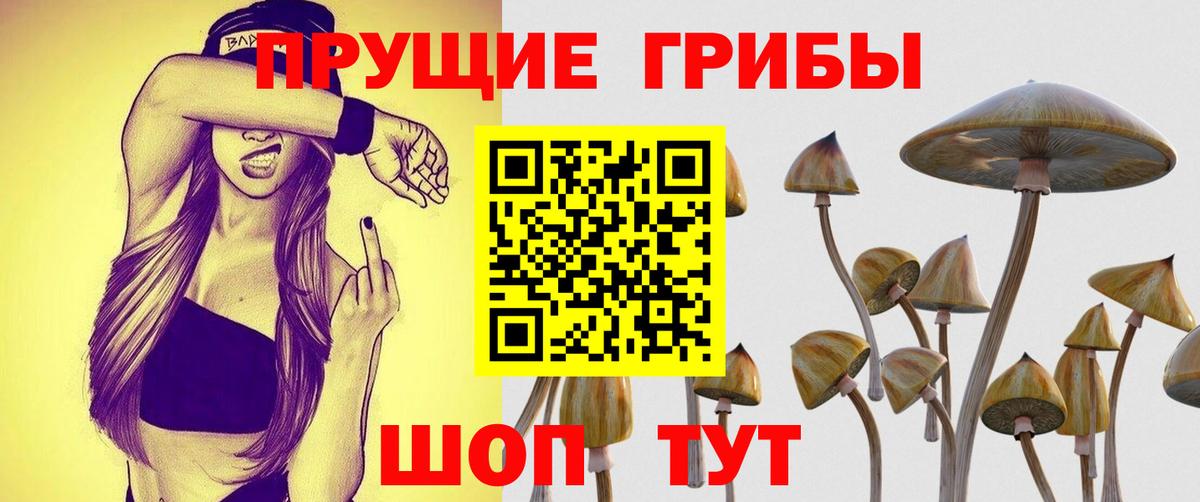 Галлюциногенные грибы Cubensis Озёры